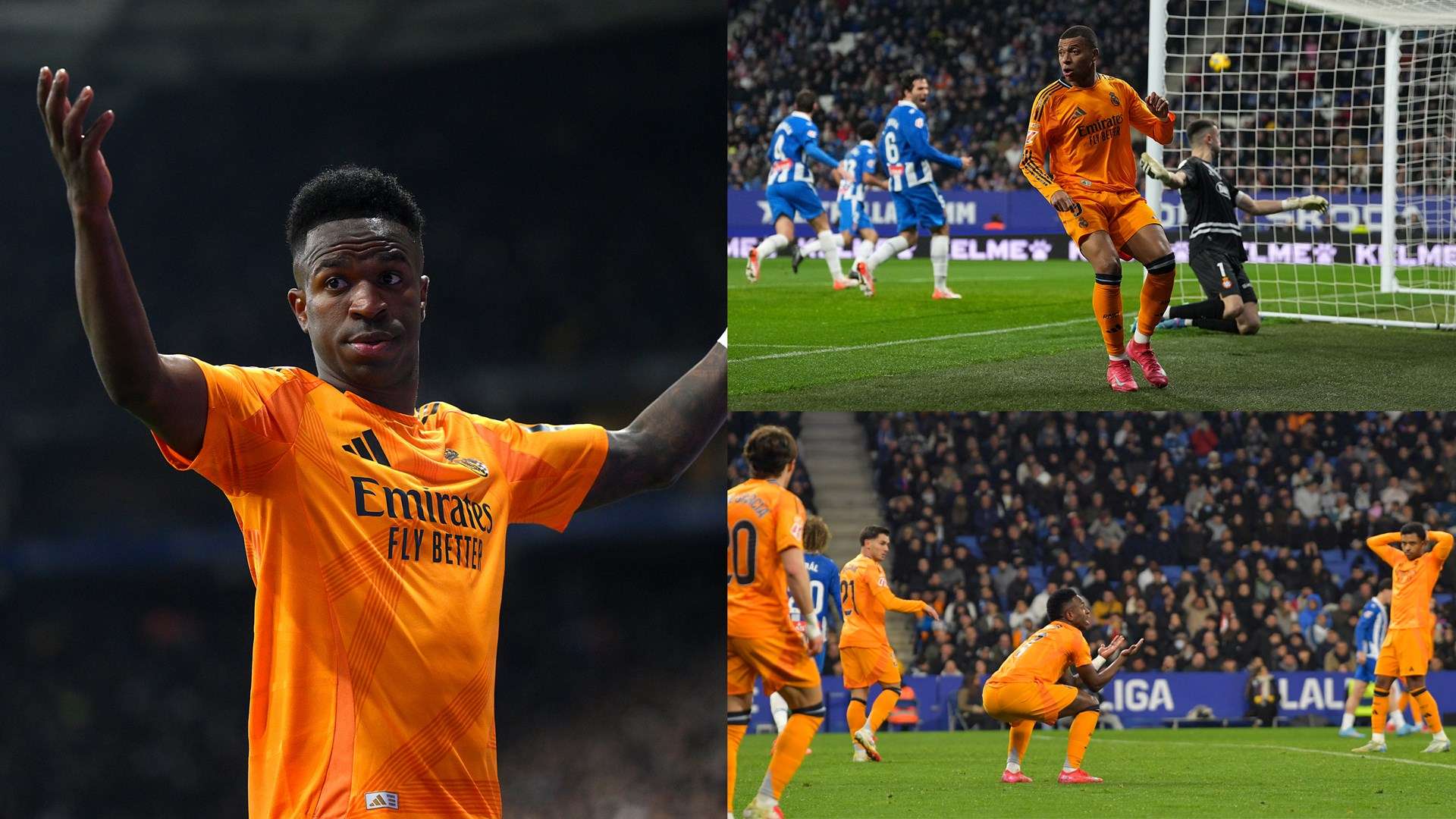 藏着多种因 藏着多种因